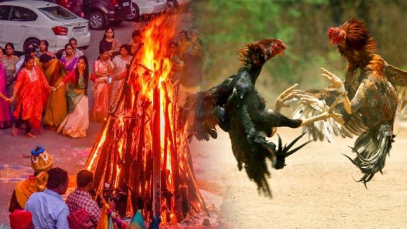 Sankranthi: షాకింగ్.. సంక్రాంతి పండుగ తేదీలు మారాయి.. పందెం రాయుళ్లకు టెన్షన్..