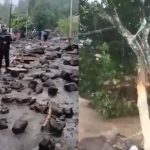 Indonesia Floods: ఇండోనేషియాలో కుండపోత వర్షాలు.. 16 మంది మృతి, నలుగురు గల్లంతు!