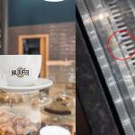 Niloufer Hotel: నీలోఫర్ హోటల్‌లో ‘బొద్దింక’ కలకలం.. వీడియో వైరల్..!