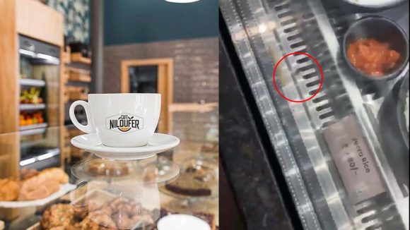 Niloufer Hotel: నీలోఫర్ హోటల్‌లో ‘బొద్దింక’ కలకలం.. వీడియో వైరల్..!