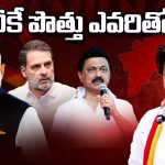 Tamil Nadu Elections: టీవీకే పొత్తు ఎవరితో? విజయ్ చుట్టూ తమిళ రాజకీయం..