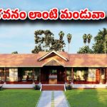 Manduva Logili House: ఆకాశమంత పందిరి భూదేవంత అరుగు.. 120 ఏళ్ల నాటి మండువా లోగిళ్లు.. ఎలా ఉన్నాయో చూస్తే!