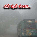 Cold Wave: గడ్డకట్టే చలి.. పడిపోతున్న ఉష్ణోగ్రతలు.. గజగజ వణుకుతున్న తెలుగు రాష్ట్రాలు!