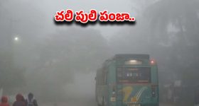 Naa Anveshana : రూటు మార్చిన అన్వేష్.. బత్తాయిలను బత్తాయిలతోనే కొట్టాలి.. ఇదేం పైశాచికం..