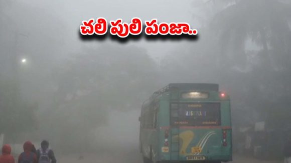 Cold Wave: గడ్డకట్టే చలి.. పడిపోతున్న ఉష్ణోగ్రతలు.. గజగజ వణుకుతున్న తెలుగు రాష్ట్రాలు!