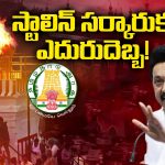 Kartika Lamp: స్టాలిన్ సర్కారుకు ఎదురుదెబ్బ..! కార్తీక దీపంపై ఇష్యూ క్లియర్..