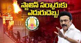 Kartika Lamp: స్టాలిన్ సర్కారుకు ఎదురుదెబ్బ..! కార్తీక దీపంపై ఇష్యూ క్లియర్..