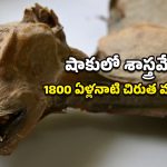 Rare Discovery: అరేబియా ఎడారిలో అద్భుతం.. మమ్మీలుగా మారిన 54 చిరుతలు! వేల ఏళ్లయినా చెక్కుచెదరకుండా ఎలా ఉన్నాయంటే?