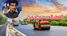 Bio Bitumen: రైతులకు గడ్కరీ గుడ్ న్యూస్: పొలంలోని చెత్తతో వేల కోట్లు.. ఇక తగలబెట్టాల్సిన పనిలేదు!