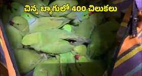 Jagtial Politics: జగిత్యాలలో జగడం.. సంజీవ్ కుమార్ Vs జీవన్‌రెడ్డి