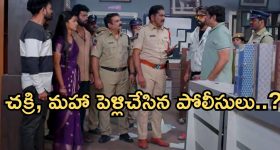 Trump Govt: ట్రంప్ సర్కార్ అదే జోరు..  ఏకంగా లక్ష వీసాలు రద్దు, ఇదే జోరు కంటిన్యూ?