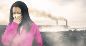 Lung Infection: ఊపిరితిత్తుల ఇన్ఫెక్షన్.. ఈ లక్షణాలుంటే అస్సలు నిర్లక్ష్యం చేయొద్దు