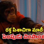 Horror Thriller OTT : సినిమా 89 నిమిషాలే… లైఫ్ లాంగ్ వెంటాడే హర్రర్ సీన్లు భయ్యా