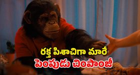 BCCI: తాను తీసుకున్న గోతిలో తానే పడింది...బంగ్లాదేశ్ తో ఆడే ఆ రెండు సిరీస్ లు ర‌ద్దు