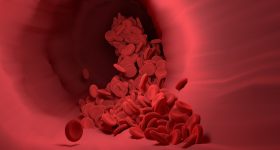 Cholesterol: వీటిని తిన్నారంటే ఒంట్లోని కొలెస్ట్రాల్ కట్ అవ్వాల్సిందే