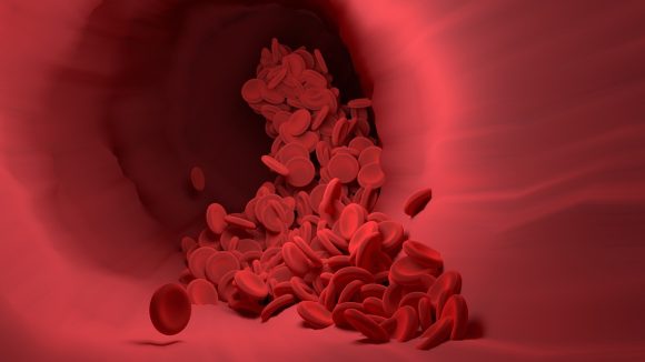 Cholesterol: వీటిని తిన్నారంటే ఒంట్లోని కొలెస్ట్రాల్ కట్ అవ్వాల్సిందే