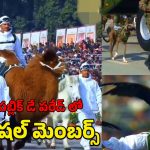 77th Republic Day Parade: భారత ఆర్మీలో నాలుగు కాళ్ల యోధులు.. రిపబ్లిక్ డే పరేడ్ ప్రత్యేక ఆకర్షణ