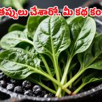 Health Tips: పాలకూరను పచ్చిగా తింటే ప్రమాదమా? నిపుణులు ఏం చెబుతున్నారంటే?