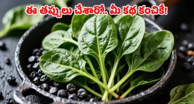 Health Tips: పాలకూరను పచ్చిగా తింటే ప్రమాదమా? నిపుణులు ఏం చెబుతున్నారంటే?