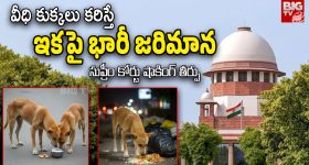 Republic Day: గణతంత్ర వేడుకలకు ఆహ్వానం.. అంధుల క్రికెట్ కెప్టెన్ దీపికకు రాష్ట్రపతి లేఖ