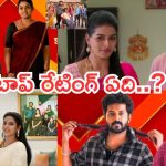 Telugu TV Serials : టీవీ సీరియల్స్ టీఆర్పీ రేటింగ్.. కొత్త ఏడాది టాప్ రేటింగ్ సీరియల్ ఇదే..?