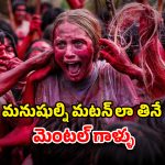 Horror Film OTT : మనుషుల్ని ఇష్టమొచ్చిన స్టైల్ లో వండుకుని తినే నరమాంస భక్షకులు… రోమాలు నిక్కబొడుచుకునే సీన్లు సామీ