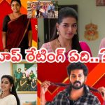 Telugu TV Serials: ఆ సీరియల్స్ కు శుభం కార్డు పడ్డట్లే.. టాప్ రేటింగ్ తో దూసుకుపోతున్న పొదరిల్లు..
