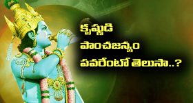 T20 World Cup 2026: జై షా దెబ్బ అదుర్స్‌..ప్రపంచ కప్ ఆడే పాకిస్తాన్ జట్టు ప్ర‌క‌ట‌న‌..రిజ్వాన్‌, హారిస్ రవూఫ్ కు నో ఛాన్స్‌