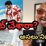 MSVPG Deleted Song: మన శంకర్ వరప్రసాద్‌లో రమణ గోగుల సాంగ్.. రిలీజ్‌పై క్లారిటీ ఇచ్చిన అనిల్ రావిపూడి..