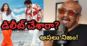 MSVPG Deleted Song: మన శంకర్ వరప్రసాద్‌లో రమణ గోగుల సాంగ్.. రిలీజ్‌పై క్లారిటీ ఇచ్చిన అనిల్ రావిపూడి..