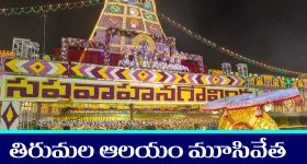 Tirumala Temple: ఒక రోజంతా తిరుమల ఆలయం మూసివేత - ఎప్పుడు, ఎందుకో తెలుసా..?