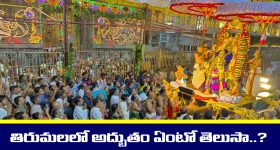 Tirumala: తిరుమలలో ఈ సంవత్సరం అద్భుతం జరగనుంది - ఏంటో తెలుసా..?
