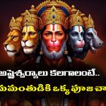 Lord Anjaneya Swamy: ఆంజనేయ స్వామికి ఆ ఒక్క పూజ చేస్తే చాలు – అష్టైశ్వర్యాలు వరిస్తాయట