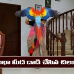 Nindu Noorella Saavasam Serial Today February 3rd: ‘నిండు నూరేళ్ల సావాసం’ సీరియల్‌:  చంభా మీద దాడి చేసిన చిలుక