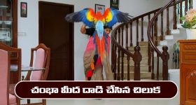 Barabar Premista: యాటిట్యూడ్ స్టార్ చేసిన పనికి సీరియస్ అవుతున్న నెటిజన్లు.. ఎందుకంటే?
