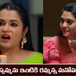 Nindu Noorella Saavasam Serial Today February 24th: ‘నిండు నూరేళ్ల సావాసం’ సీరియల్‌: మిస్సమ్మ ప్లాన్ సక్సెస్
