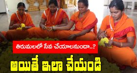  Tirumala Seva Volunteer: తిరుమలలో శ్రీవారి సేవకులుగా చేయాలని ఉందా? అయితే ఇలా చేయండి
