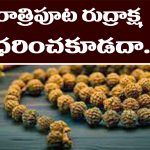 Rudraksha: నిద్రించే సమయంలో రుద్రాక్షలు ధరించవచ్చా..? అసలు నిజం అదేనట