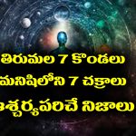 Tirumala 7 Hills: తిరుమల 7 కొండలు మనిషిలోని 7 చక్రాలు – అద్భుతమైన 7 విషయాలు తెలుసా..? 