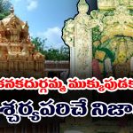 Kanakadurgamma: విజయవాడ కనకదుర్గమ్మ ముక్కుపుడక వెనుక ఉన్న రహస్యం ఏంటో తెలుసా..?
