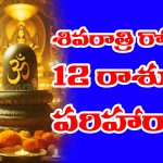 Shivaratri: శివరాత్రి రోజు 12 రాశుల వాళ్ళు ఇలా  చేస్తే వాళ్ళ దశ తిరుగుతుందట 