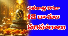 Shivaratri: శివరాత్రి రోజు 12 రాశుల వాళ్ళు ఇలా  చేస్తే వాళ్ళ దశ తిరుగుతుందట 