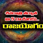 Shivaratri: శివరాత్రి తర్వాత లక్ష్మీ నారాయణ యోగం – ఆ 5 రాశుల వారికి పట్టిందల్లా బంగారమేనట