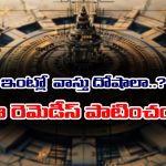 vastu dosha: వాస్తు దోషాలతో కష్టాలు పడుతున్నారా..?  ఈ చిన్న రెమెడీస్ వాస్తును సెట్ చేస్తాయట