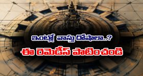 vastu dosha: వాస్తు దోషాలతో కష్టాలు పడుతున్నారా..?  ఈ చిన్న రెమెడీస్ వాస్తును సెట్ చేస్తాయట