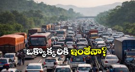 Sreeleela : కోలీవుడ్ లో శ్రీలీలకు మరో ఆఫర్.. క్రేజీ హీరో మూవీలో ఛాన్స్..!
