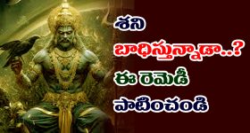 Vegetarian Diet: శాఖాహారం తీసుకుంటే క్యాన్సర్ రాదా? 16 ఏళ్ల పరిశోధనలో తేలిన షాకింగ్ విషయాలు!