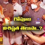 Gho Pooja: అష్టకష్టాలను పోగొట్టి అష్టైశ్వర్యాలను  ప్రసాదించే గోపూజను ఎలా చేయాలో తెలుసా..?