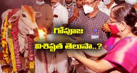 Gho Pooja: అష్టకష్టాలను పోగొట్టి అష్టైశ్వర్యాలను  ప్రసాదించే గోపూజను ఎలా చేయాలో తెలుసా..?