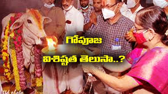 Gho Pooja: అష్టకష్టాలను పోగొట్టి అష్టైశ్వర్యాలను  ప్రసాదించే గోపూజను ఎలా చేయాలో తెలుసా..?